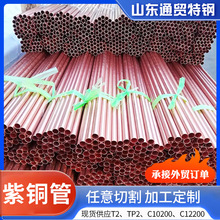 ���{�����~�����ë��T2���~�P��T2�ϼ������T2���~�ܿ��{�����