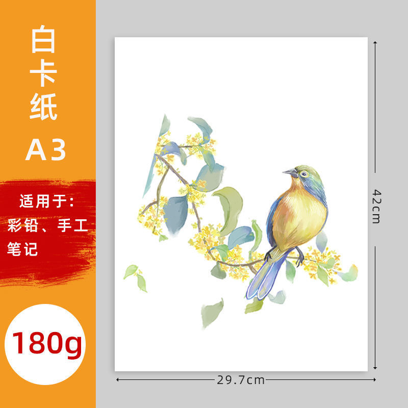 Cartón abierto engrosado holandés cartón blanco Aa cartón grueso duro KK marcador pintura papel color plomo papel blanco