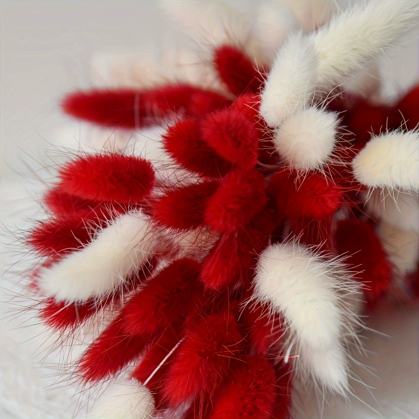 Cross-border supply of bohemian style pampas bouquets New Year gifts red color home decoration cross-border