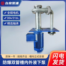 40HP台泉不锈钢高温无泄漏侵入式泵 东元不锈钢立式液下泵 DN150