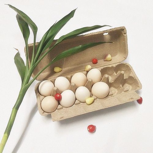 Factory Direct Sales Disposable Biodegradable Chicken Egg Cartons Paper Pulp Egg Box Eco-Friendly Hatching Egg Cartons