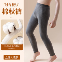 秋冬保暖裤男士莱卡棉秋裤青少年纯色修身纯棉线裤保暖打底裤批发