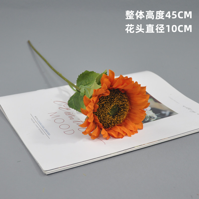 TWL 오렌지 레드 2