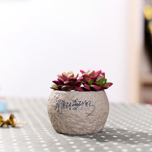 ���մɻ�������������ԼҾӈ@ˇСֲ̖�ﻨ��͸�ℓ��ͱP�b�Ʒ