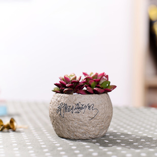 ���մɻ�������������ԼҾӈ@ˇСֲ̖�ﻨ��͸�ℓ��ͱP�b�Ʒ