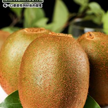 �������J�����殐�������G�����rˮ���������ЋD�J��������