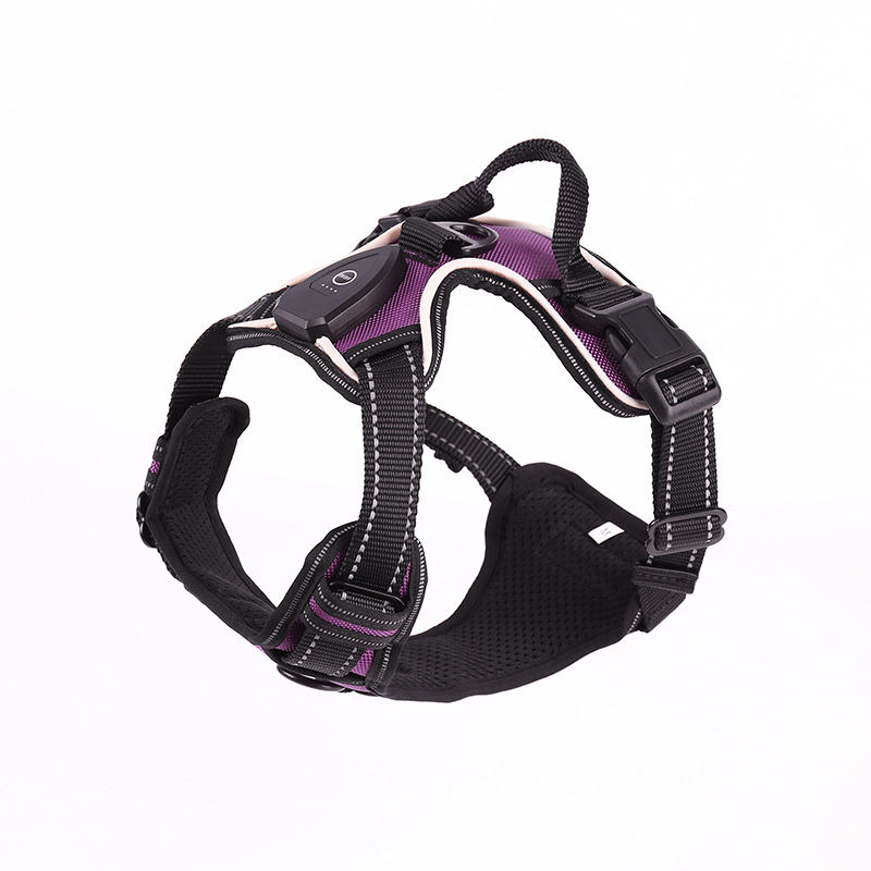 Pet luminoso chaleco LED parpadeo para perros fuera correa de tracción anti-explosión carga USB correa luminosa