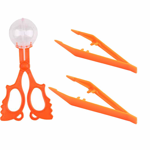 Children's Outdoor Insect Trap Set, Tongs, Butterfly Trap, Outdoor Insect Catching and Collecting, Scientific