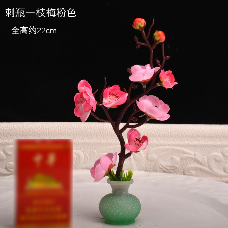 가시병 매화 핑크