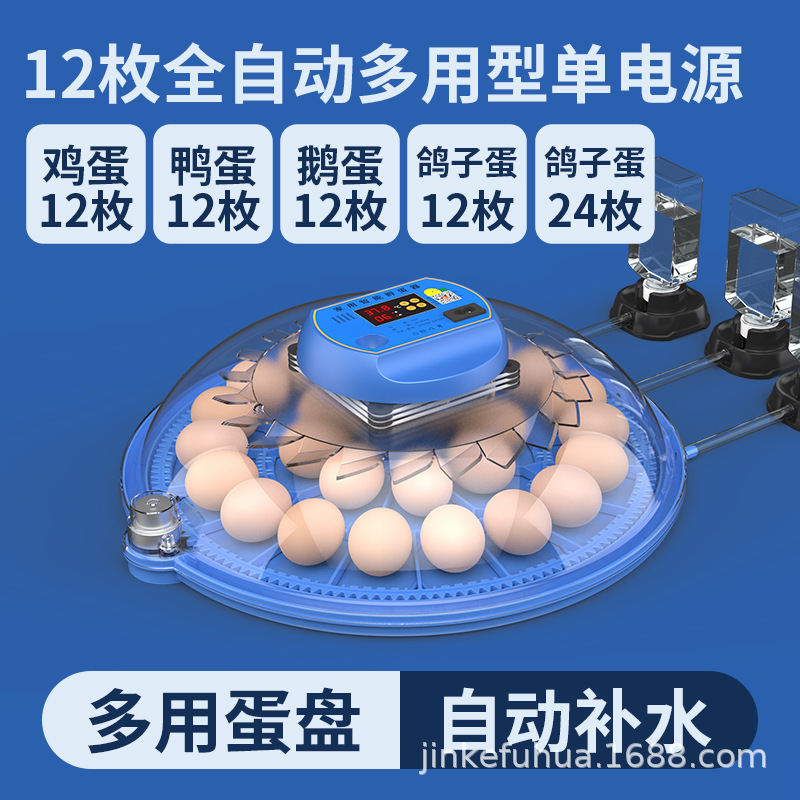 완전 자동 단일 배터리 12개