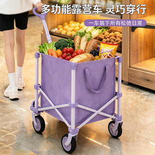 便携折叠式小拉车