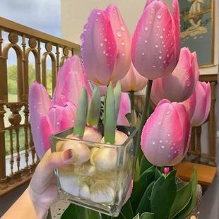 �M�ڴ���������ˮ��ˮ�B�N��5�������������㻨���҃������̨��