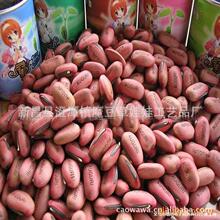 �Nֲ�L��������������ף�����ַNֲħ���t���׶����鶹С����