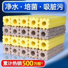 ݞV~^Vմɭh{ʯӢbƷB~