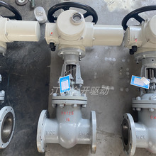 ȫ�_����Z941Y-25C DN300 �T��y�w �ߜ������ܵ��y �����{����