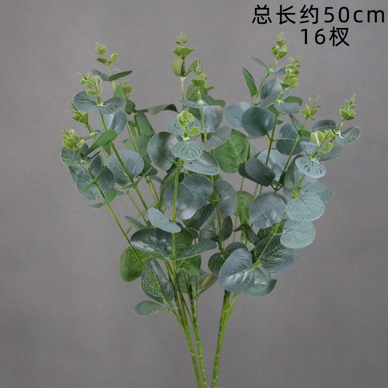 Eucalipto gris-verde