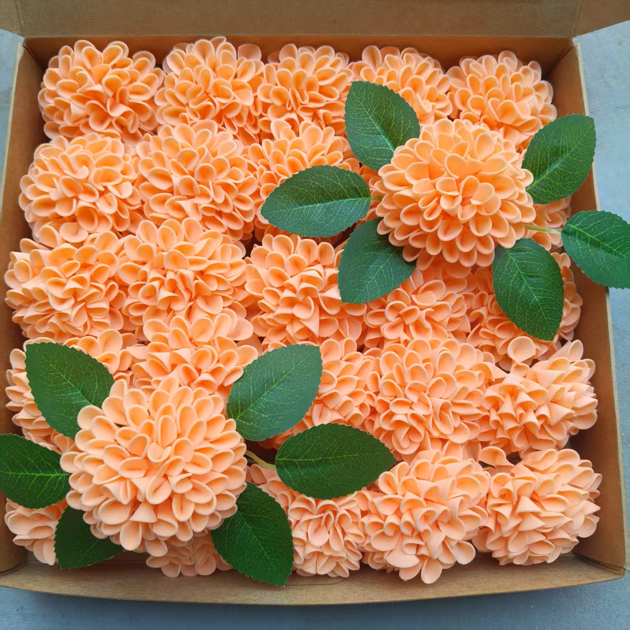 微信图片_20250526124504_66