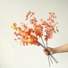 ���Sֱ�N�羳������������֦�zӰ���߻�Y�������÷����ȼ����廨