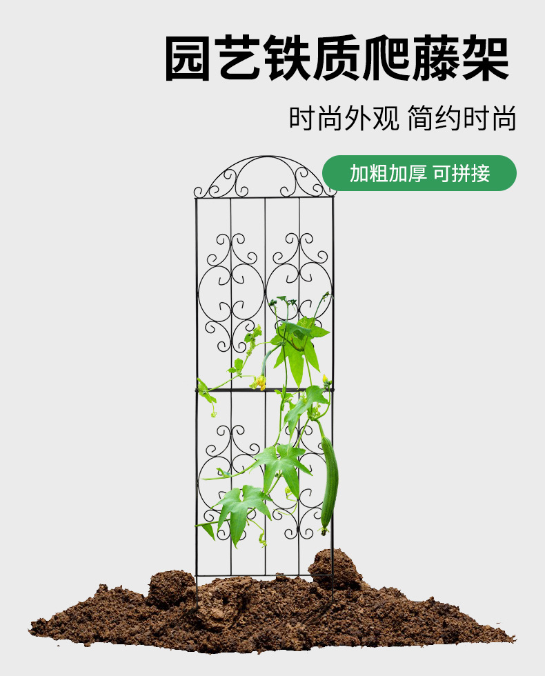 详情_01