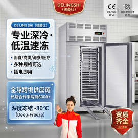 德菱仕速冻柜商用零下45度80度冷冻柜插盘冰箱包子饺子海参速冻机