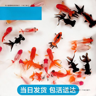 ���~���wС�\����ˮ��ˮ�^�p�~��Ꭷ�~������ʳ���~����~С�t�~