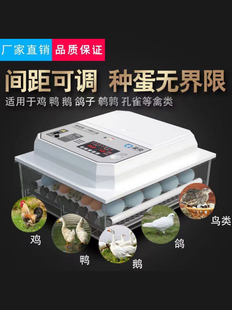 Postage [110V Special] Incubator Small Household Automatic Incubator Chicken Duck Goose Pigeon Incubator Incubation