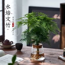 ˮ��ֲ�����������҃Ⱥ��B�͏d��������ʽ�[���k��������Gֲ