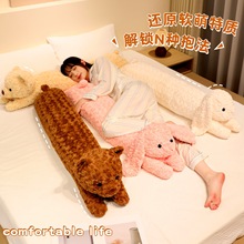 �L�lſſС�����ӄ���ë�q��߱�����̖��˯���ނ�˯�A�ȱ����Y��