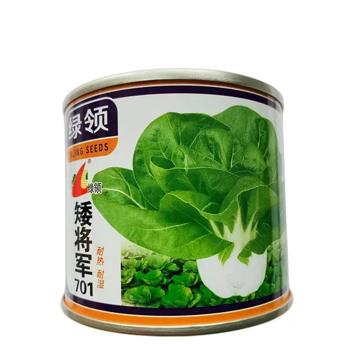 Зеленый ошейник Карлик Общие 701 Семена овощей Термостойкие и устойчивые к дождю Карлик Кей Зеленые овощи Летние короткие стопы Желтые зеленые овощи Семена капусты