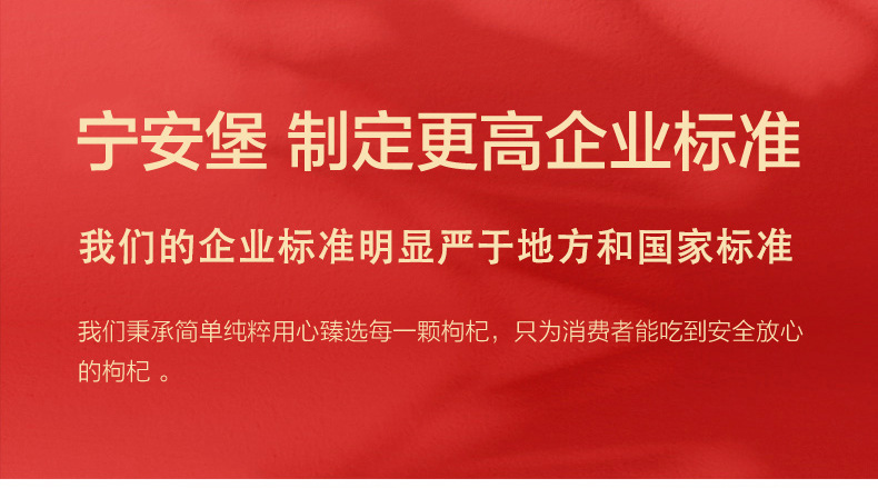 Ning'anbao Premium Ready-to-Eat Goji Berries 300g Ningxia Wolfberry Independent Sachets overview