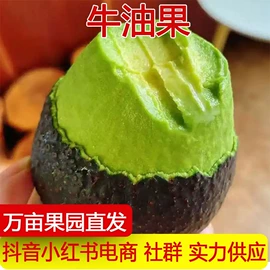 其他水果;柑桔;梨