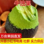 【源头直供】爆款进口牛油果大果鳄梨哈斯奶油新鲜水果一件代发