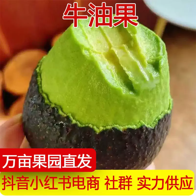 【源头直供】爆款进口牛油果大果鳄梨哈斯奶油新鲜水果一件代发