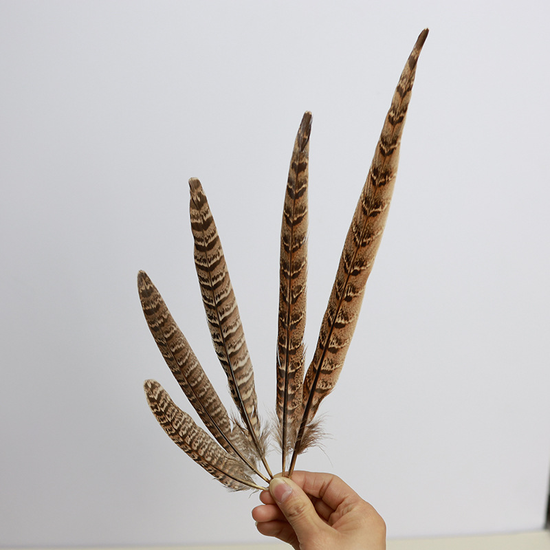 Mayorista 15 - 100cm plumas de cola de pollo de montaña, plumas de gato, plumas de gallo de montaña, plumas de gallo de Beijing, plumas de gallo salvaje