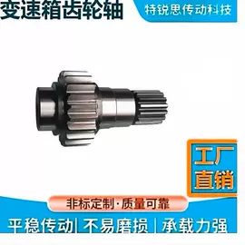 齿轮;蜗杆;其他传动件