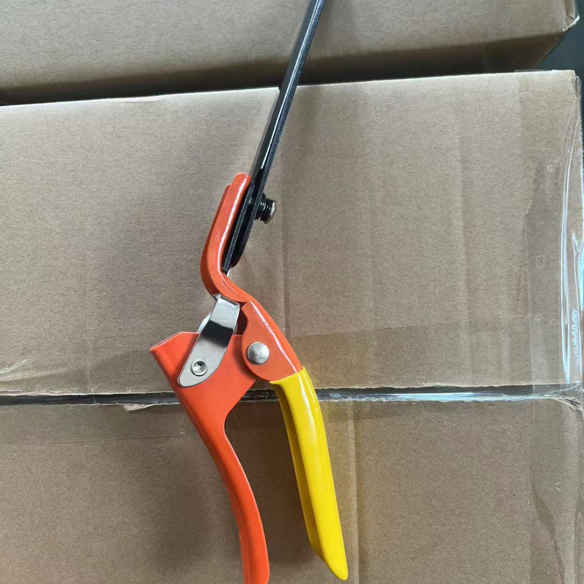 2025-08-29 12:43:40.jpg