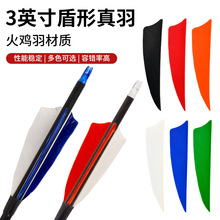 �S�����l3Ӣ�����������u���֧DIY����̼�ػ�̼���w��ͨ�ü���