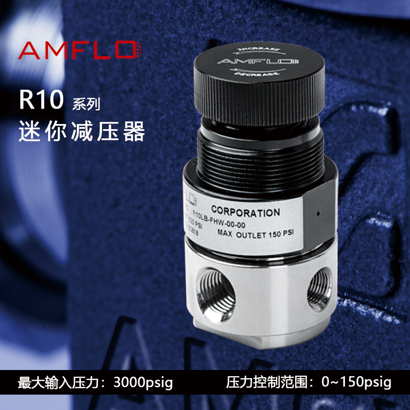 R10 系列迷你减压器