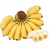 新鮮小米蕉粉蕉新鮮水果當季水糯米蕉時令生鮮現摘香蕉壹件代發