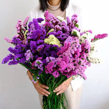 云南直发勿忘我永生花束鲜花花束家居装饰真花插花干花永生花批发
