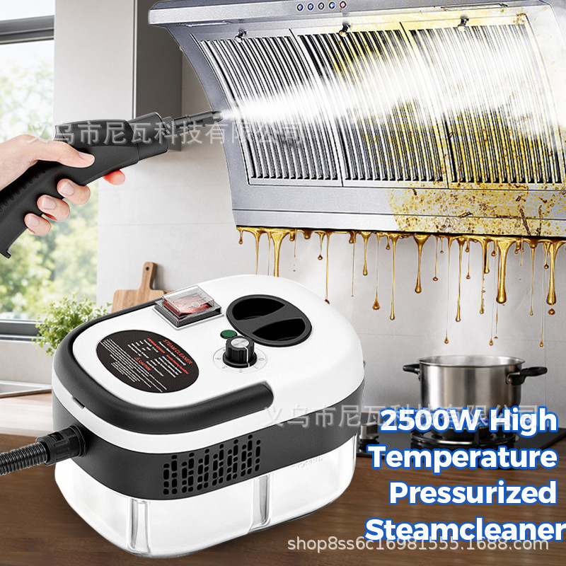 220V European and American Standard Cross-Border Russian Small High-Pressure Cleaning Machine Handheld Instant Heating High-Temperature Steam Cleaner
