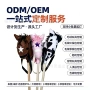 定制儿童骑马跨境玩具