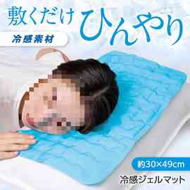 源头出口日本凉感冰枕冰垫夏季凉感物理降温枕头凝胶退热消暑垫其