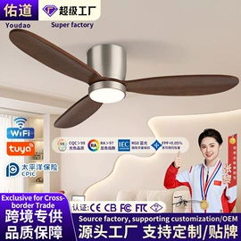 风扇灯;吸顶灯;吊扇