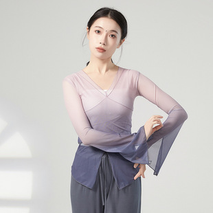 Classical dance gradient body rhyme gauze clothes practice clothes female Chinese dance folk dance modern dance clothing top