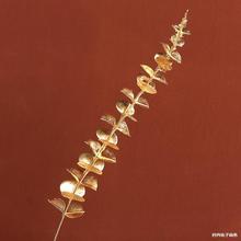 ��������Ͱ���滨��ɫ�ȼ����y���~�����m�~�X�~�����b����ϼٻ�