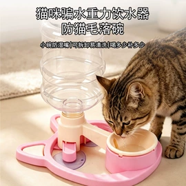 猫猫玩具;狗狗玩具;猫猫食具