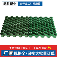 塑料植草格出口外贸批发HDPE公园绿化边坡护坡停车场专用植草格