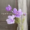 4 Big Persian purple