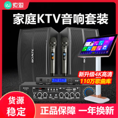 索愛家庭ktv音響セット全セット家庭用アンプ点歌機専門カラオケ機テレビ通用